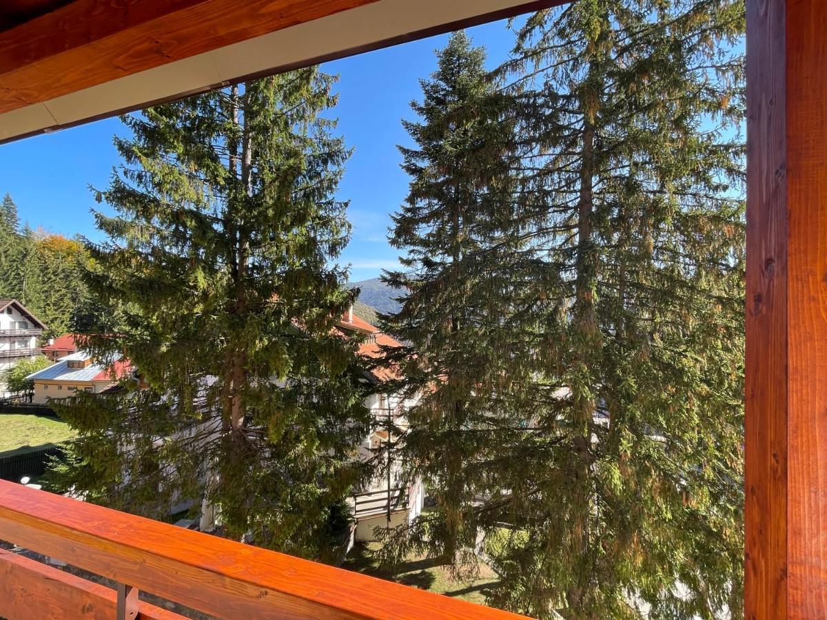 Apartament Lexannona Buşteni Екстериор снимка
