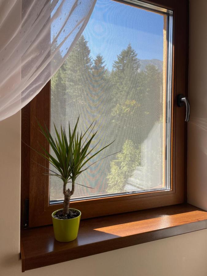Apartament Lexannona Buşteni Екстериор снимка