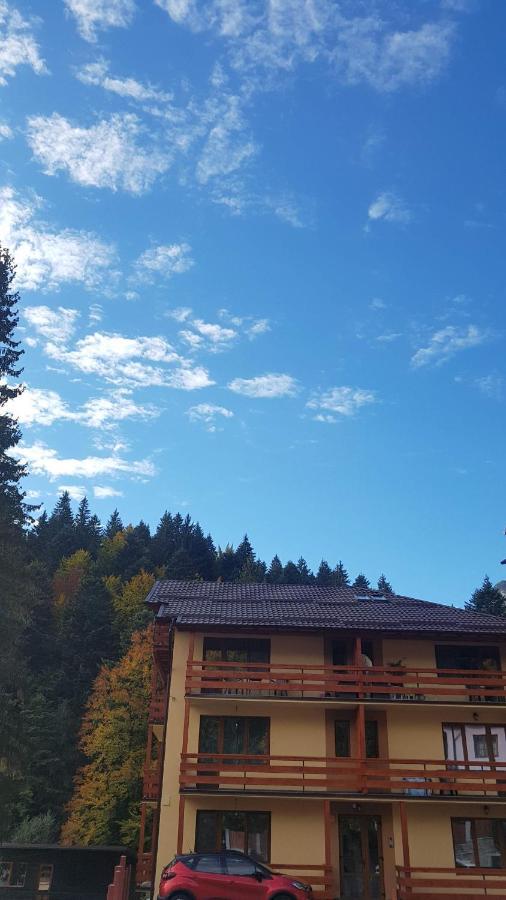 Apartament Lexannona Buşteni Екстериор снимка
