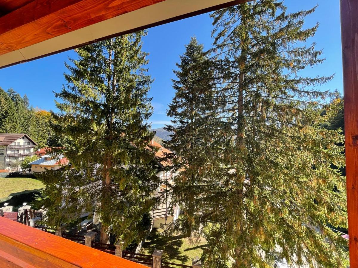 Apartament Lexannona Buşteni Екстериор снимка